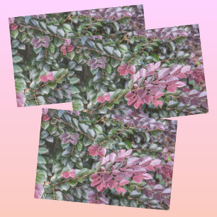 Papier Mousseline Rosy Purple Green Foliage Botanique