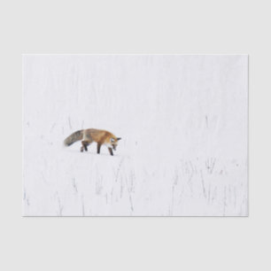 PAPIER MOUSSELINE ROUGE FOX SUR PAPIER EN TISSU DE NEIGE