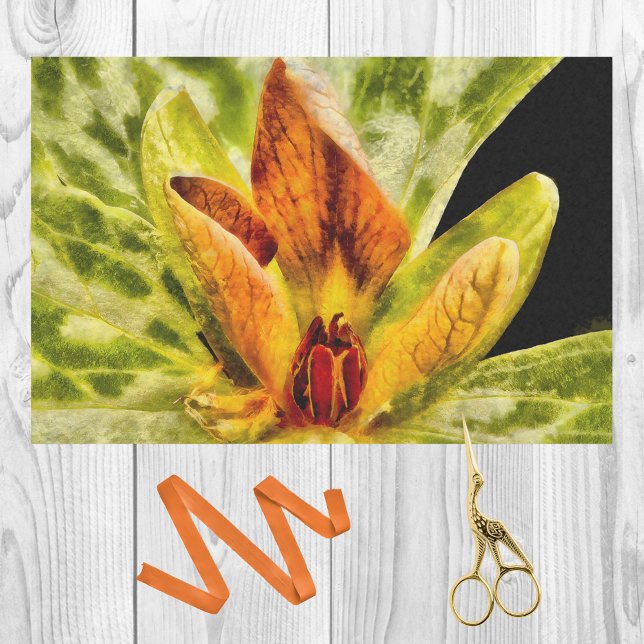 Papier Mousseline Rouge Vert Toadshade Trillium Bud Aquarelle Look (Créateur téléchargé)