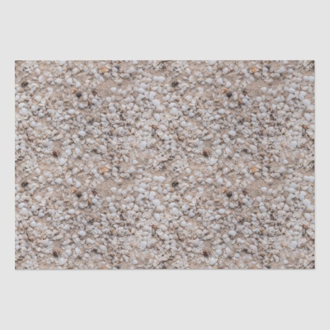 Papier Mousseline Sable de plage avec petits coquillages Motif répét (Recto)