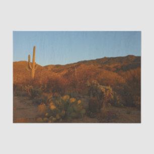 Papier Mousseline Saguaro Sunset I Arizona Désert Paysage