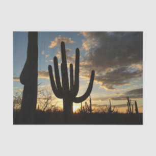 Papier Mousseline Saguaro Sunset II Arizona