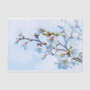 Papier Mousseline Sakura - Fleur de cerisier japonaise