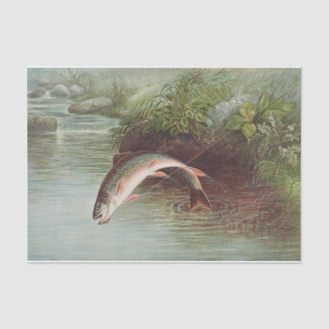 Papier Mousseline Samuel Kilbourne | Truite de ruisseau Leaping - 18 (Recto)