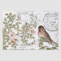 Sauvage Carte Rose Postale Songbird French Script
