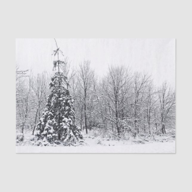 Papier Mousseline séparation avec certitude (Recto)