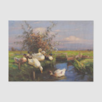 Sept canards dans le fossé par Alexander Koester