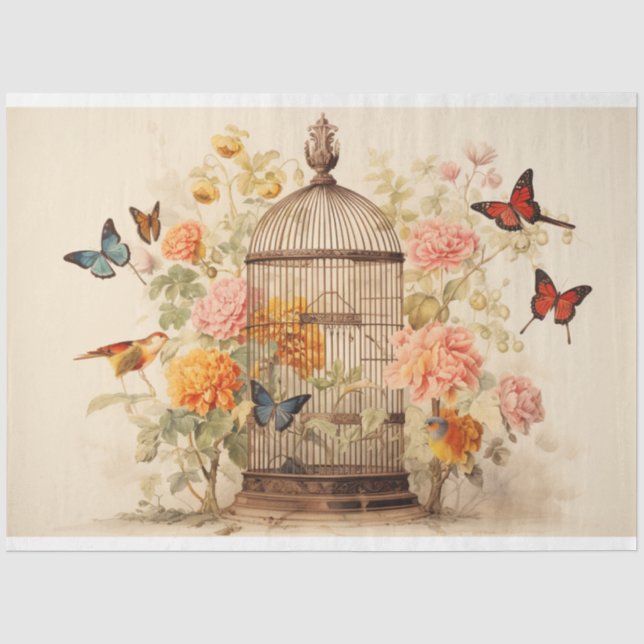 Papier Mousseline Sérénade du jardin : Découpage de cage à oiseaux (Recto)
