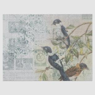 Papier Mousseline Série Conception Quatorze Oiseaux Éphémères