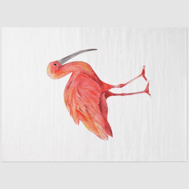 Papier Mousseline Série d'oiseaux tropicaux : Ibis écarlate (Recto)