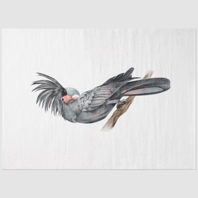 Papier Mousseline Série d'oiseaux tropicaux : Palm Parrot (Recto)