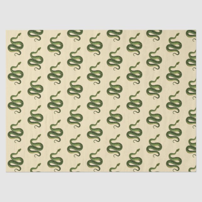 Papier Mousseline Serpent Vert (Recto)