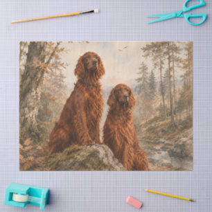 Papier Mousseline Setter irlandais