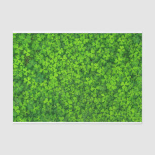 Papier Mousseline Shamrock Clover Feuille St. Patrick's Day Festive