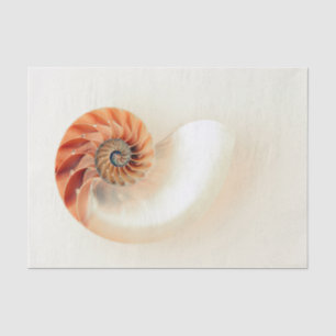 Papier Mousseline Shell de la vie