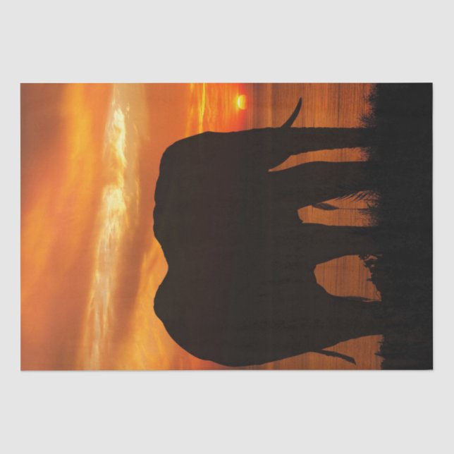 Papier Mousseline Silhouette du coucher de soleil éléphant (Recto)