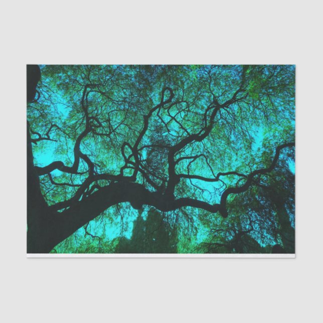 Papier Mousseline Silhouette Imaginaire Turquoise Tree (Recto)