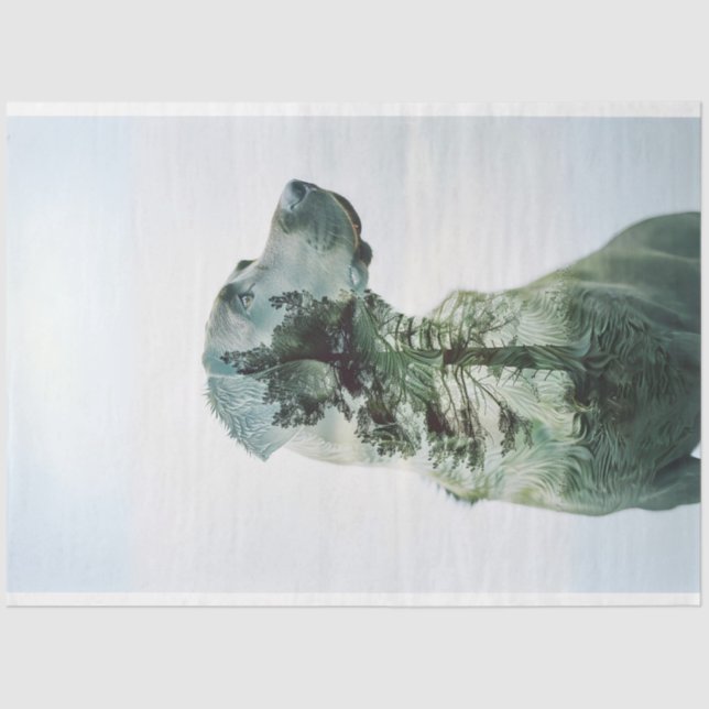 Papier Mousseline Silhouette Lab Film Exposé Découpage (Recto)