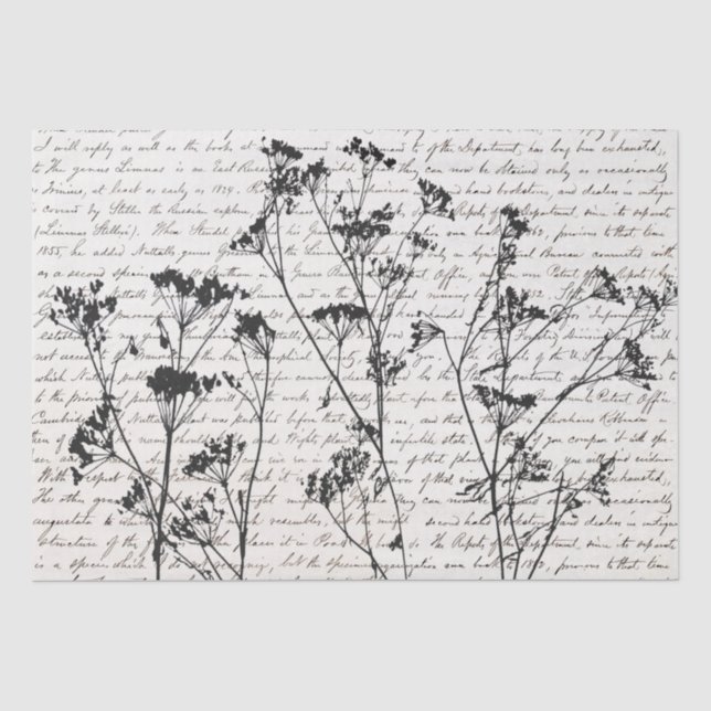 Papier Mousseline Silhouettes Fleur sauvage noir élégant Vieux Scrip (Recto)