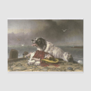 Papier Mousseline Sir Edwin Henry Landseer Enregistré
