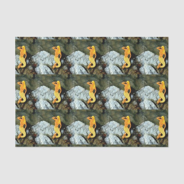 Papier Mousseline sirènes d'observation blonde (Recto)
