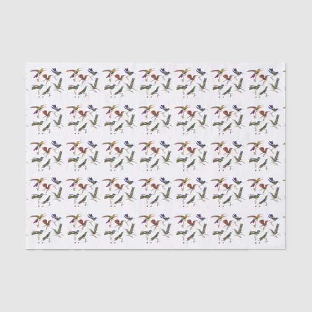 Papier Mousseline Six beaux colibris (Recto)