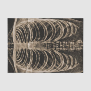 Papier Mousseline Skeleton Xray Rib Cage Vintage Sepia Black Gothiqu