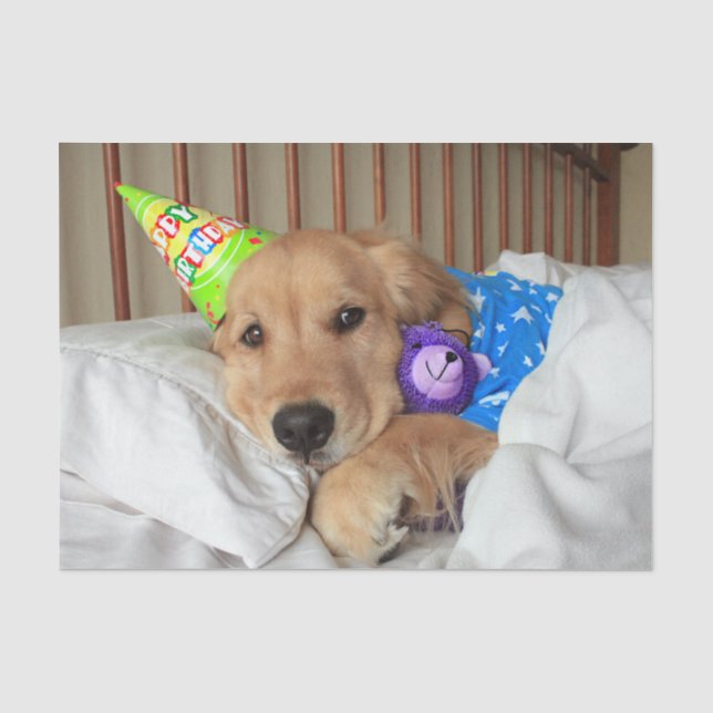 Papier Mousseline Sleepy Golden Retriever in Pajamas Anniversaire (Recto)