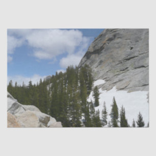Papier Mousseline Snowy Granite Domes II Parc national de Yosemite