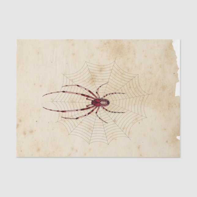 Papier Mousseline Sorcière Ephemera Design Series #7 (Recto)