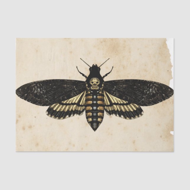 Papier Mousseline Sorcière Ephemera Design Series #8 (Recto)