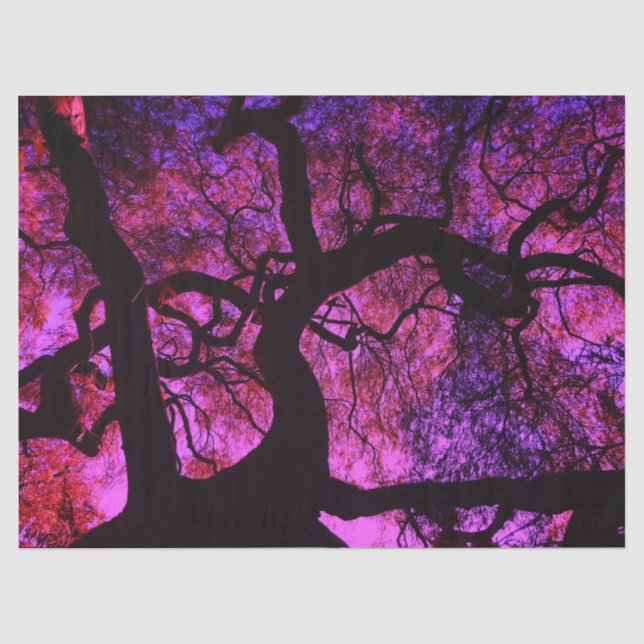 Papier Mousseline Sous l'arbre en rose et pourpre (Recto)
