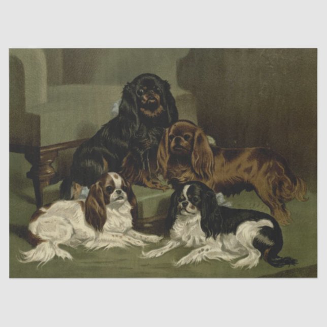 Papier Mousseline Spaniels Cocker vintages (Recto)