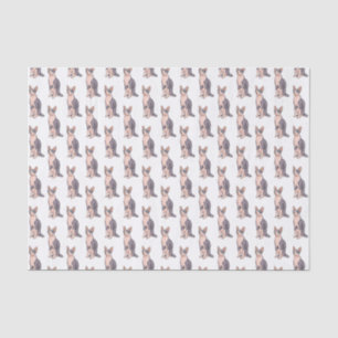 Papier Mousseline Sphynx cat