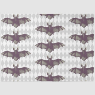 Papier Mousseline Spider Sorch Series Design 19