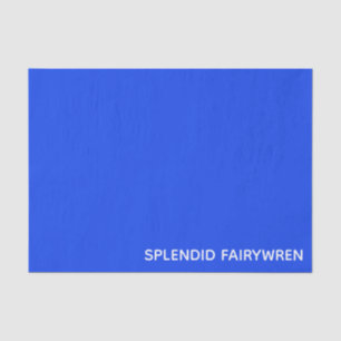 Papier Mousseline Splendid Fairywren Blue Colour