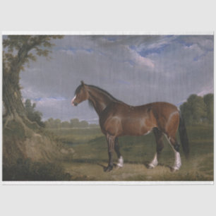 Papier Mousseline Stallion de Clydesdale (Thoroughbred Horse) (Anima