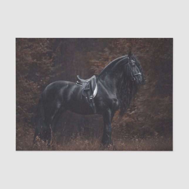 Papier Mousseline Stallion friésien Dressage (Recto)