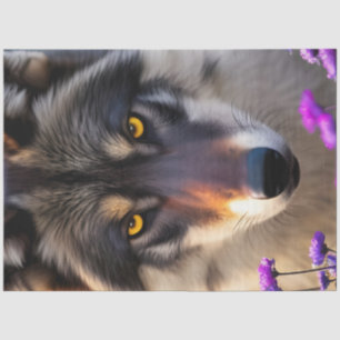 Papier Mousseline Stare de loup gris et fleurs pourpres