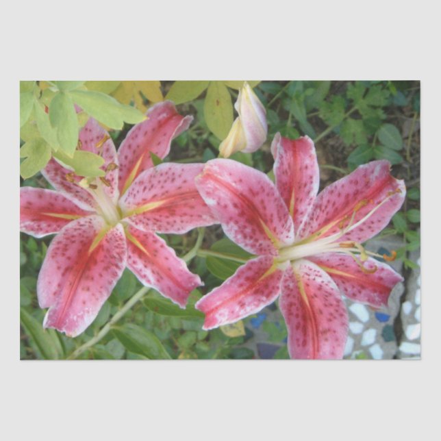 Papier Mousseline Stargazer Lilies Jardin Floral (Recto)