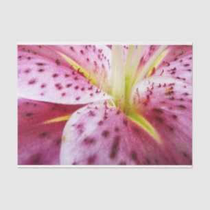 Papier Mousseline Stargazer Lily brillant Magenta Floral