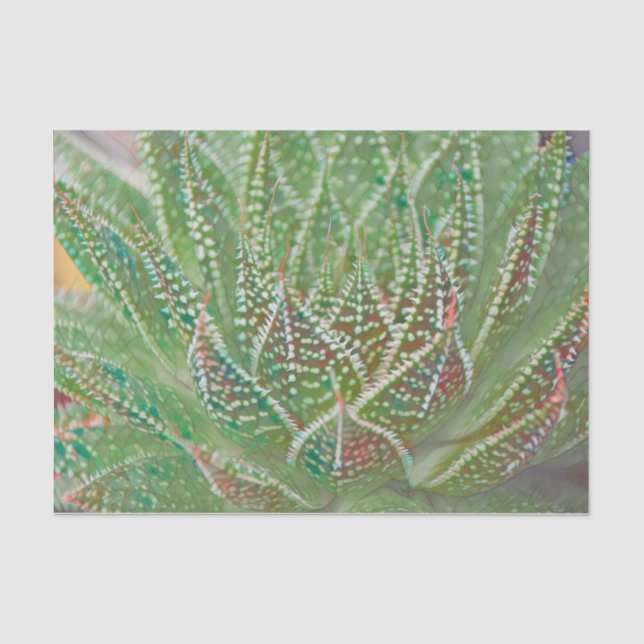 Papier Mousseline Succulent Cactus Plante Verte Vitrail Art (Recto)