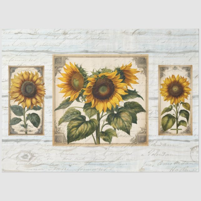 Papier Mousseline Sunflower Script Ephemera Russe Bois Découpage (Recto)
