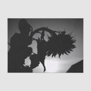 Papier Mousseline Sunflower Sunset Silhouette Noir Blanc Vintage