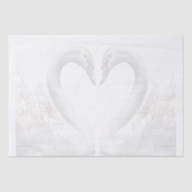 Papier Mousseline Swan (Recto)