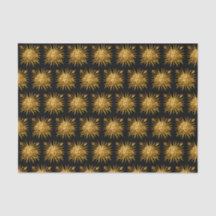 Symbole de Louis XIV le Roi Soleil