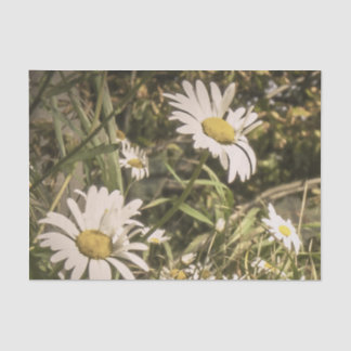 Papier Mousseline Sympathie de chien avec les marguerites jaunes