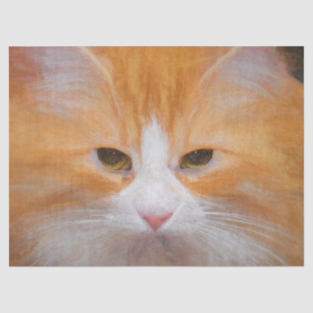 Papier Mousseline Tabby Cat Orange White Cute Fluffy Beautieux (Recto)