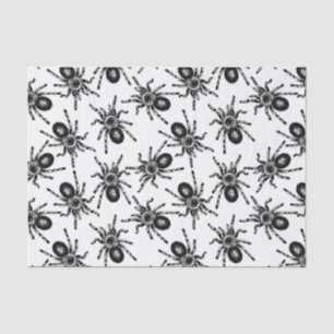 Papier Mousseline Tarantula