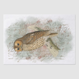 Papier Mousseline Tawny Owl Bird Pinecone French Script Decoupage